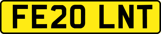 FE20LNT