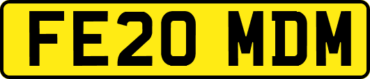 FE20MDM