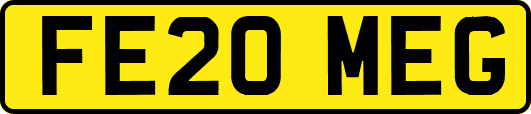 FE20MEG
