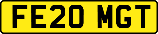 FE20MGT