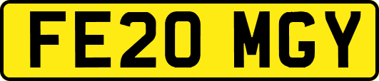 FE20MGY