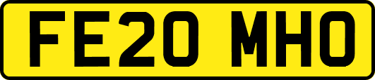 FE20MHO