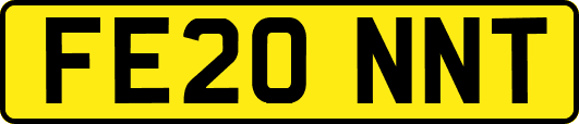 FE20NNT