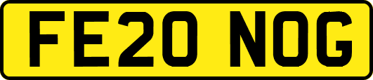 FE20NOG