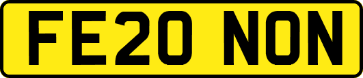 FE20NON