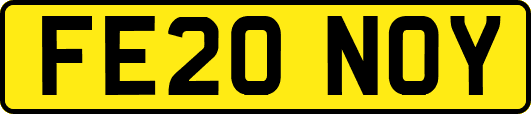 FE20NOY