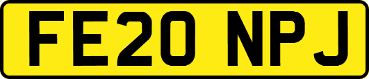 FE20NPJ