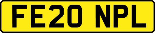 FE20NPL