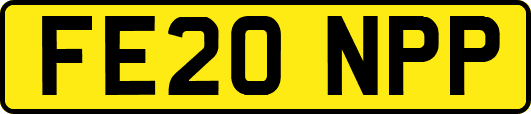 FE20NPP