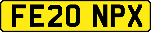 FE20NPX