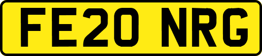 FE20NRG