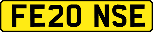 FE20NSE