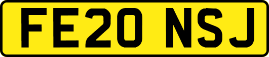 FE20NSJ