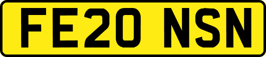 FE20NSN