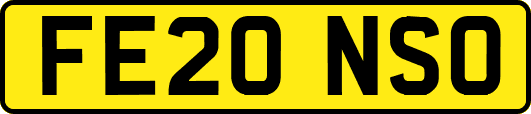 FE20NSO