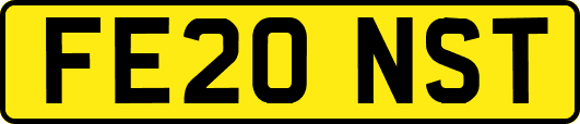 FE20NST