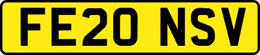 FE20NSV