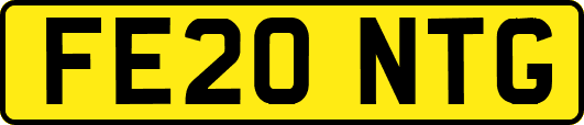 FE20NTG
