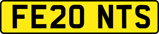 FE20NTS