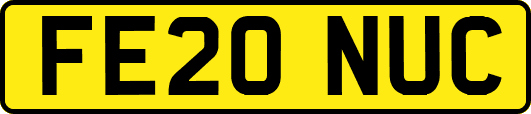 FE20NUC