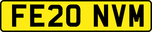 FE20NVM
