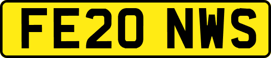FE20NWS