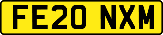 FE20NXM