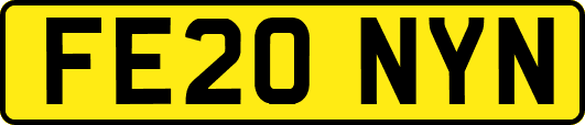 FE20NYN