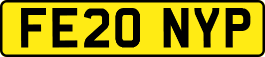 FE20NYP