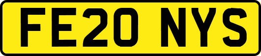 FE20NYS