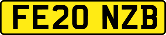 FE20NZB
