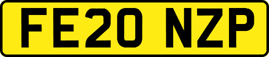 FE20NZP