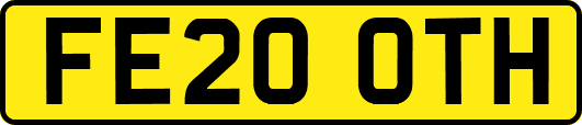 FE20OTH