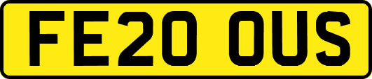 FE20OUS