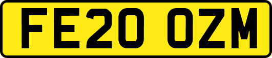 FE20OZM