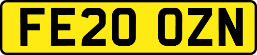 FE20OZN