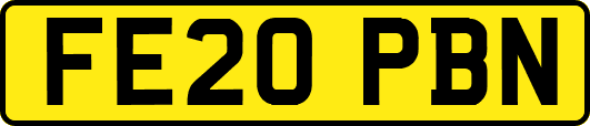 FE20PBN