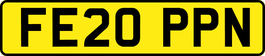FE20PPN