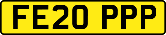 FE20PPP