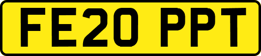 FE20PPT