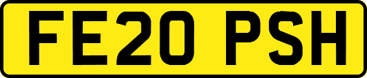 FE20PSH