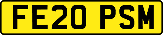 FE20PSM