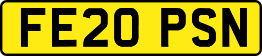FE20PSN