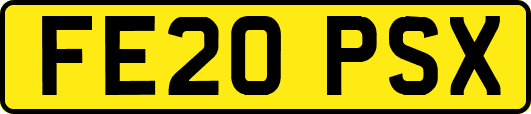 FE20PSX
