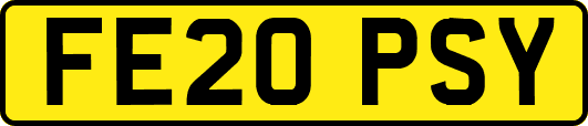 FE20PSY