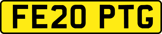 FE20PTG