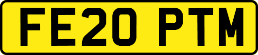 FE20PTM
