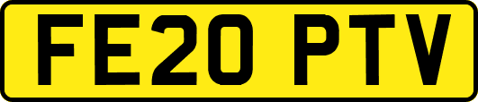 FE20PTV