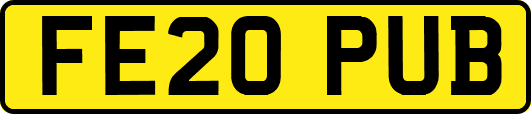 FE20PUB