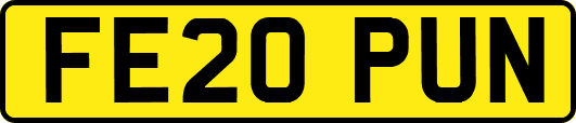 FE20PUN